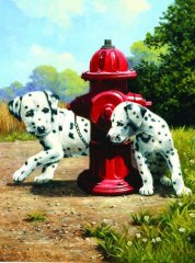 Malování podle čísel Dalmatini u červeného hydrantu 22x30cm s akrylovými barvami a štětcem
