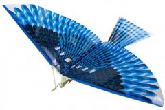 Sestav si letadýlko ve tvaru ptáčka - Modrý jestřáb