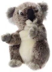 Plyš Koala 21 cm