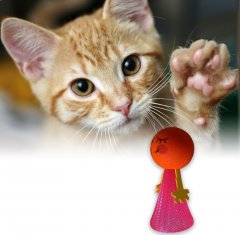 Skákací míček pro kočky