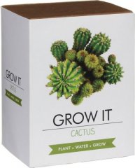 Grow it - Kaktus