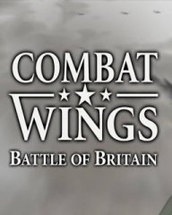 Combat Wings Battle of Britain (PC - Steam)