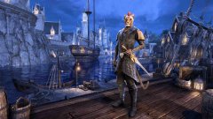 The Elder Scrolls Online Summerset Digital Collectors Upgrade (PC)