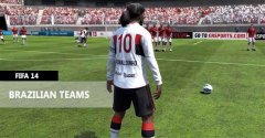 FIFA 14 DLC BUNDLE (PC - Origin)