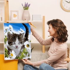 Malování podle čísel - koťátko, vypnuté plátno na rám