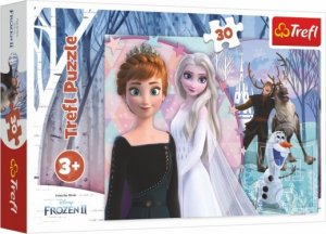 Puzzle Ledové království II/Frozen II 30 dílků 27x20cm