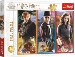 Puzzle Ve světě magie a čarodějnictví/Harry Potter 200 dílků 48x34cm