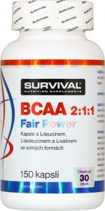 BCAA 2:1:1 Fair Power, 150 cps