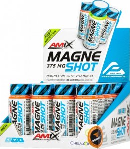 Hořčík • MagneShot Forte - 20x 60 ml, mango