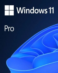 Windows 11 Pro OEM (PC)