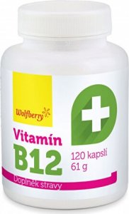 Vitamín B12 61 g/120 kapslí