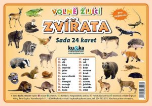 Volně žijící zvířata - Sada 24 karet (kolektiv autorů)