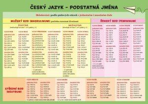 Český jazyk – Podstatná jména (Hladíková Zuzana)