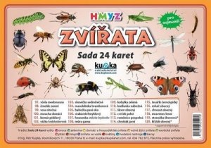 Zvířata hmyz - Sada 24 karet (kolektiv autorů)