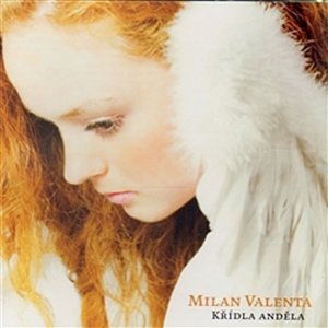Křídla anděla - CD (Valenta Milan)