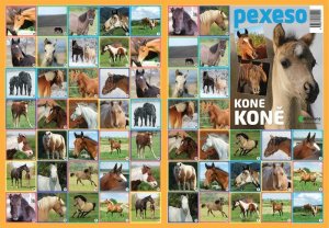 Pexeso - Koně