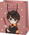 Dárková taška A5 Harry Potter - Harry