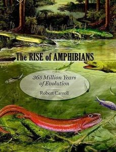 The Rise of Amphibians : 365 Million Years of Evolution (Carroll Robert)
