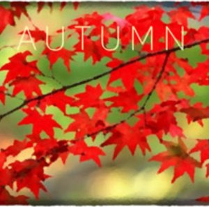 Autumn (PC - Steam)
