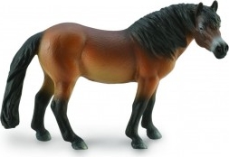 Exmoor Pony hřebec