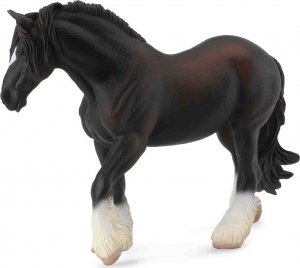 Shirský kůň - černý