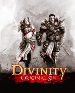 Divinity Original Sin (PC - GOG.com)