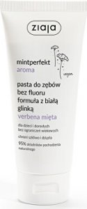 Jílová zubní pasta Verbena & máta (Toothpaste) 100 ml