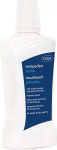 Ústní voda proti zubnímu kazu Active (Mouthwash) 500 ml