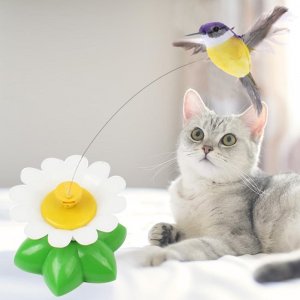 Hračka pro kočky – létající kolibřík
