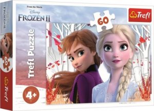 Puzzle Ledové království II/Frozen II 60 dílků 33x22cm