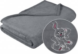 Dětská micro deka 75x100cm šedá s výšivkou