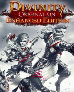 Divinity Original Sin Enhanced Edition (PC - GOG.com)