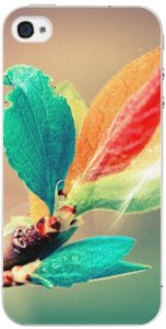 Plastové pouzdro iSaprio - Autumn 02 - iPhone 4/4S
