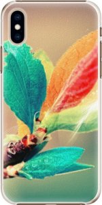 Plastové pouzdro iSaprio - Autumn 02 - iPhone XS