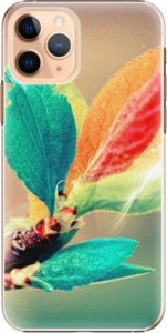 Plastové pouzdro iSaprio - Autumn 02 - iPhone 11 Pro