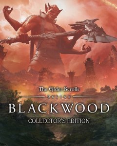 The Elder Scrolls Online Collection Blackwood Collector's Edition (PC)