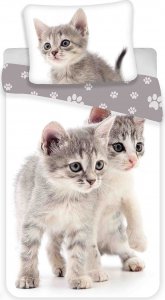 Povlečení fototisk Kitten grey 140x200, 70x90 cm - bavlna