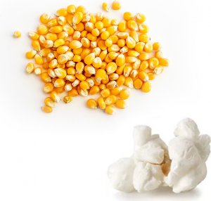 Kukuřice na výrobu popcornu BUTTERFLY