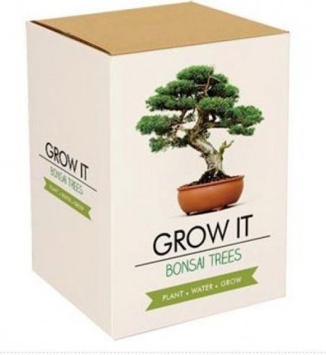 Grow it - Bonsai