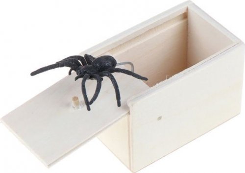 Pavouk v krabičce