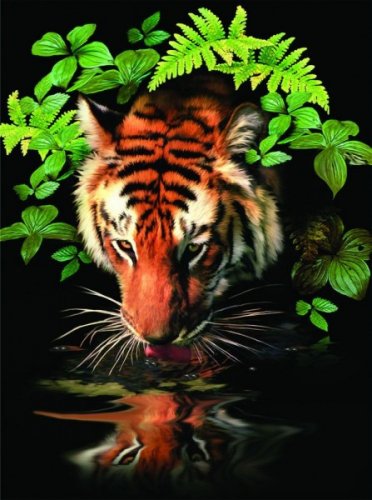 Malování podle čísel Tygr u vody 22x30cm s akrylovými barvami a štětcem
