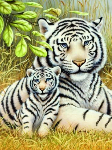 Malování podle čísel Bílí tygři 22x30cm s akrylovými barvami a štětcem