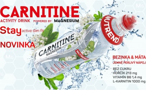CARNITINE MAGNESIUM ACTIVITY DRINK, 750 ml, bezinka+máta