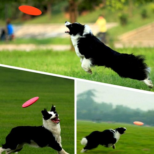 Silikonové frisbee pro psy