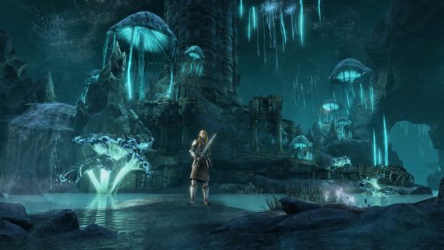The Elder Scrolls Online Greymoor Digital Collector's Edition upgrade (PC)