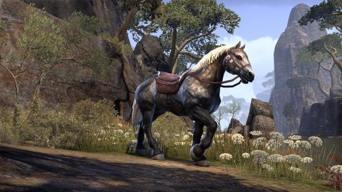 The Elder Scrolls Online Morrowind Upgrade (Playstation)