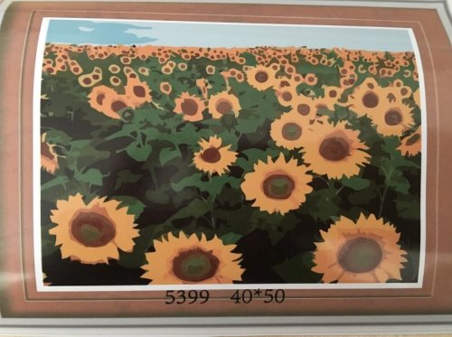Malování podle čísel na plátno - pole plné slunečnic