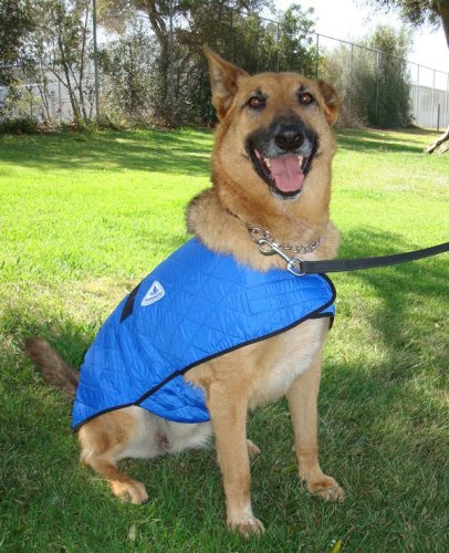 Chladící vesta pro psy HyperKewl modrá 43-51cm / L