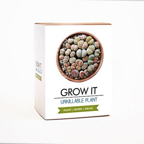 Grow it - nezničitelná rostlina