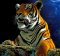 Diamantové malování basic - tygr